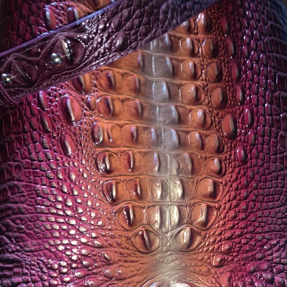 Large multi color Brahmin - Picture 3 of 7